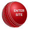 cricket_ball_100